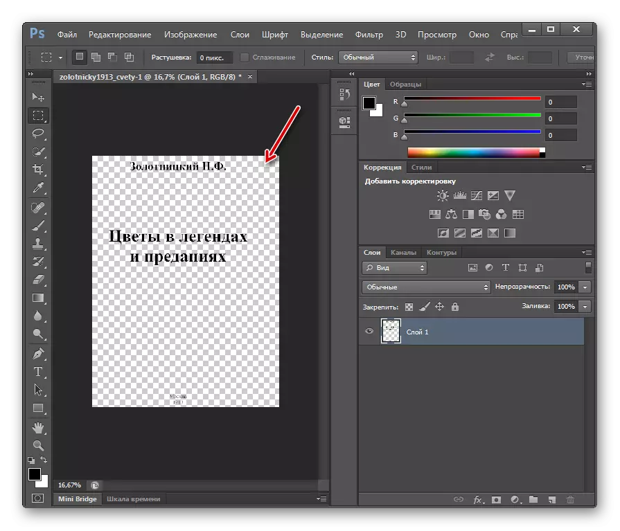 Sahypa Adobe Photoshop Programma interfeýsinde peýda bolýar
