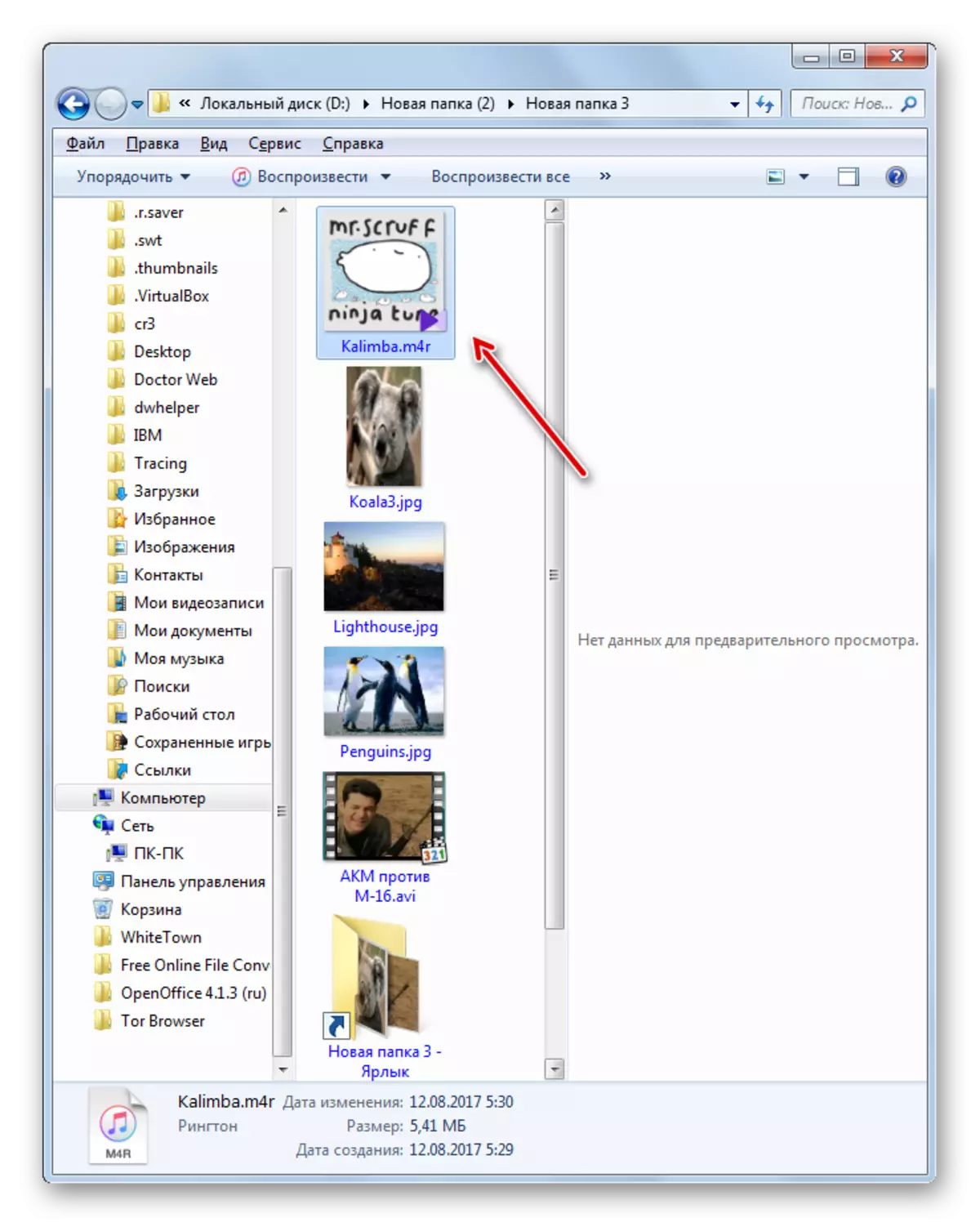 Filen er omdøpt M4R-format i Windows Utforsker