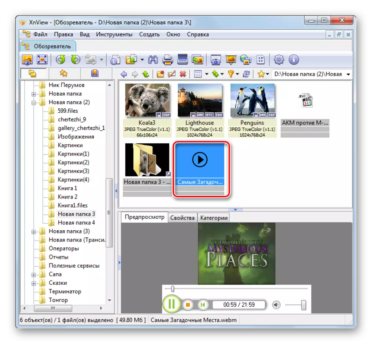 XnViewプログラムの別のタブでビデオを表示する