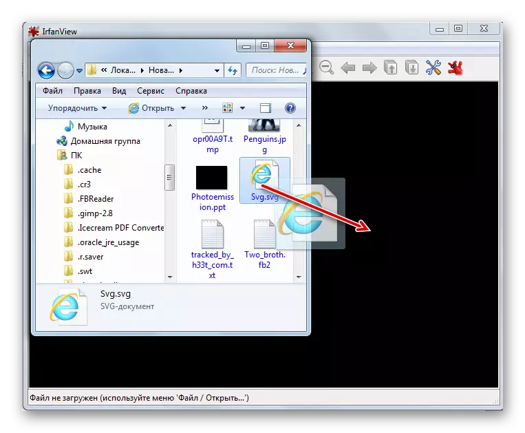 Ouverture du fichier SVG en faisant glisser l'Explorateur Windows dans le programme IRFANView