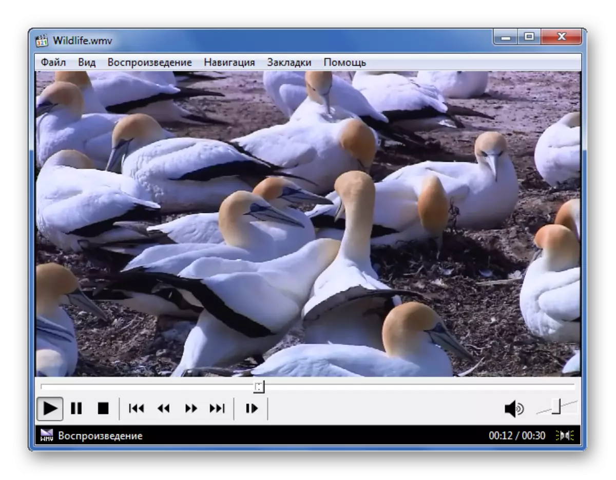 WMV-weergave in Media Player Classic
