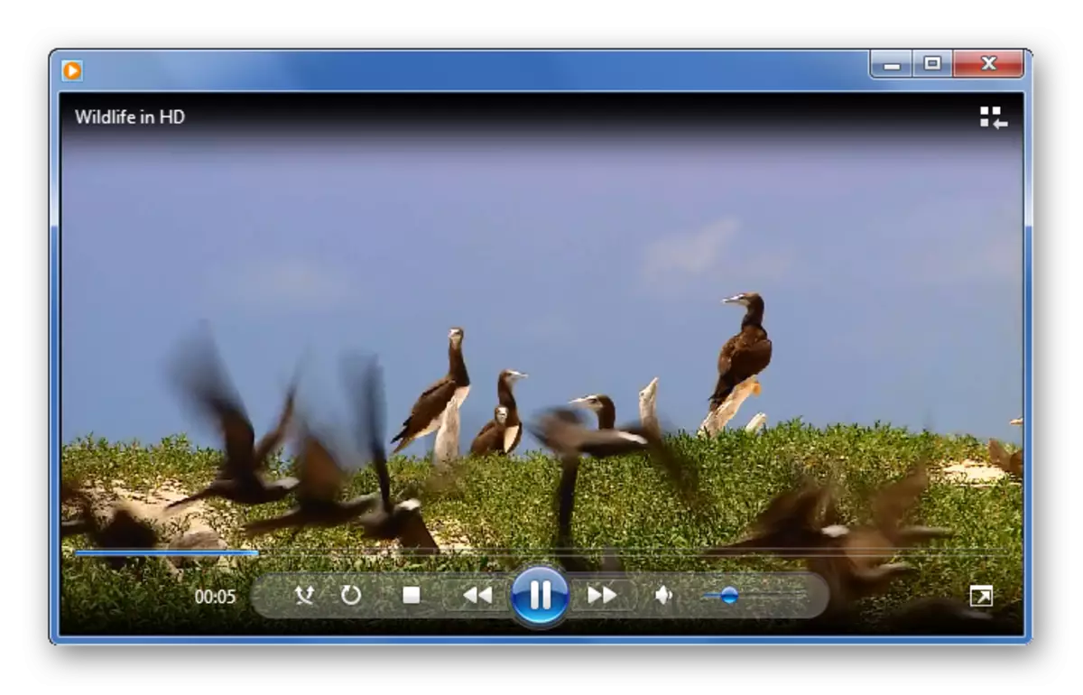 A reprodución de WMV en Windows Media Player