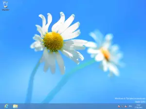Windows 8 ширээний компьютер