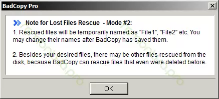 Warning of file recovery process