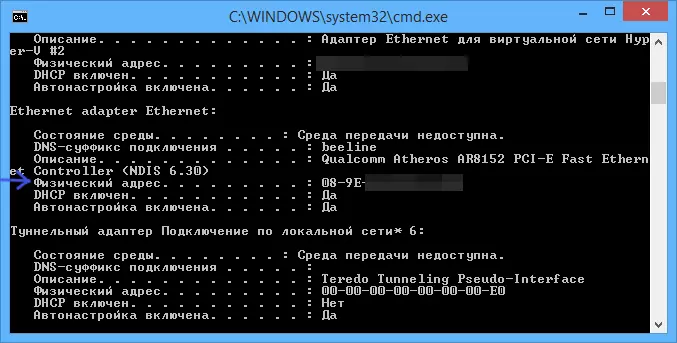 IPConfig Windows нәтижелеріндегі MAC мекен-жайы