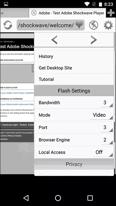 Photon Flash Player na Browser